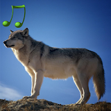Animal sounds and photos icon