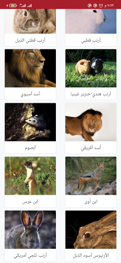 جيو عربي Screen 2