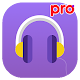 Music Player Pro : No Ads Download on Windows