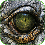 Top 20 Education Apps Like Dinosaur Sounds - Best Alternatives