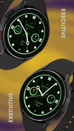 EXD062: Omega Tourbillon Face screenshot 7