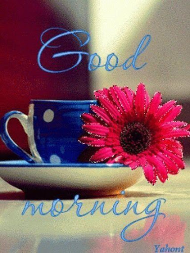 Good Night Good Morning  images for whatsapp 2021