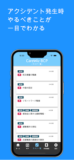 CareWiz BCP Screen 3
