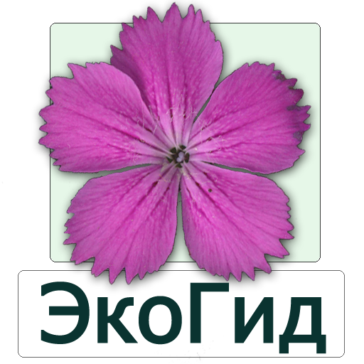 ЭкоГид: Цветы – Определитель تنزيل على نظام Windows