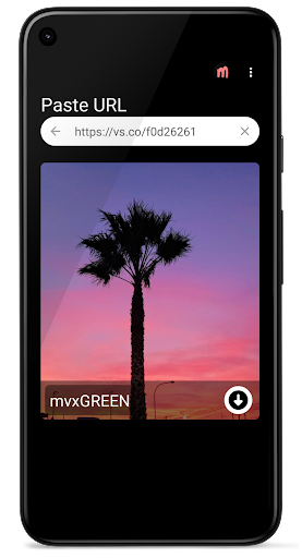 Downloader for VSCO Screen 2