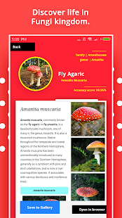 Mushroom Identification لقطة شاشة