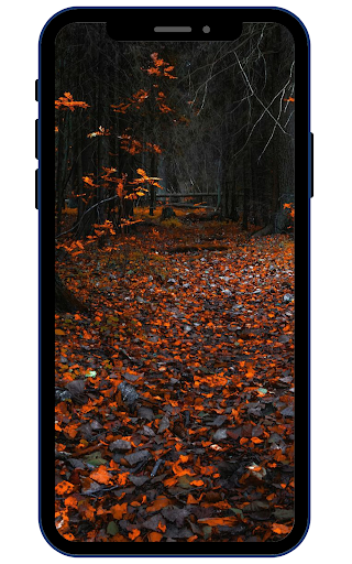 Autumn Wallpapers Screen 3