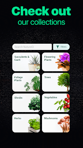 NatureID- Plant Identification 2.29.6 6