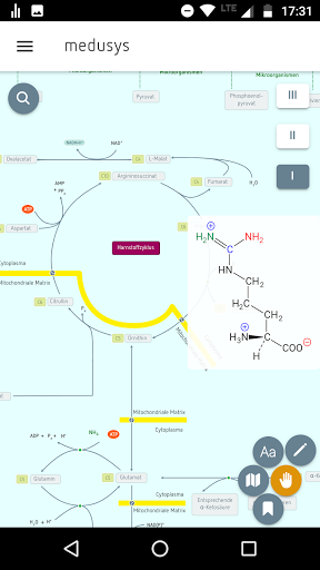 Biochemistry, interactive map Screen 3