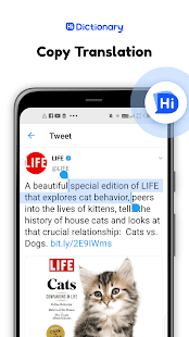 Hi Dictionary-Translate Now Screenshot