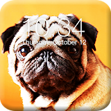Pug Dog App Lock Screen icon