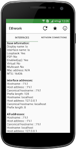 Ethwork MOD APK: Netstat & Interfaces (Premium/Paid Unlocked) 3