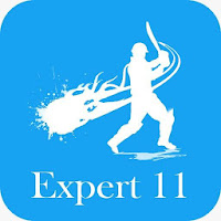 Expert 11  Prediction for Dreams 11 Team 11