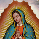 Virgen de Guadalupe icon