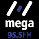 Mega FM RS ดาวน์โหลดบน Windows