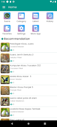 Android application Suara Burung Murai Betina screenshort