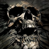 Skull Wallpapers icon