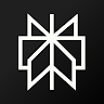 Perplexity - Ask Anything APK icon