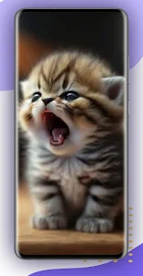 Cute Cat Video Wallpaper