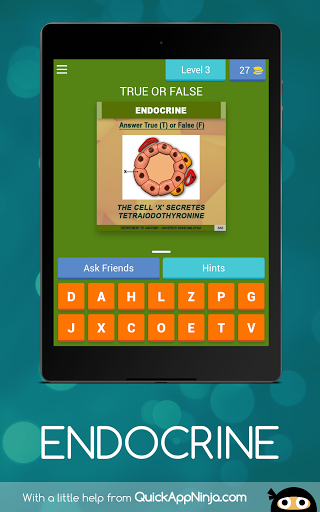 Anatomy Online Quiz Endocrine