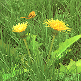 Spring Flowers 3D LWP icon