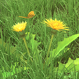 Symbolbild für Frühlingsblumen 3D