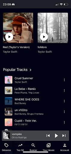 Melodix Music Screen 2