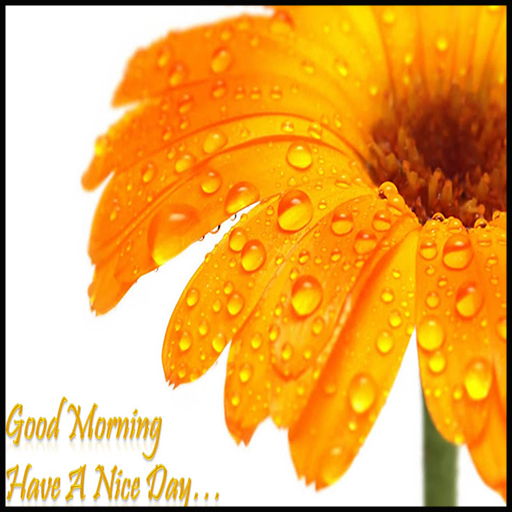 Good Morning Friends  Icon