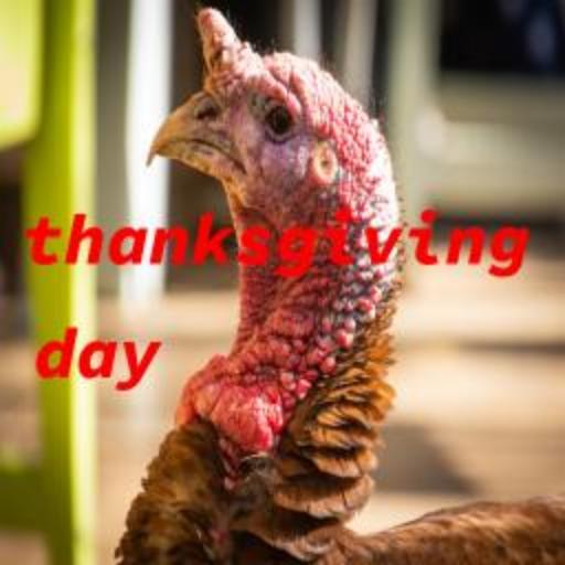 thanksgiving day dinner Latest Icon