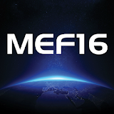 MEF16 icon