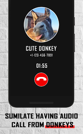 Donkey funny video call prank Screen 2