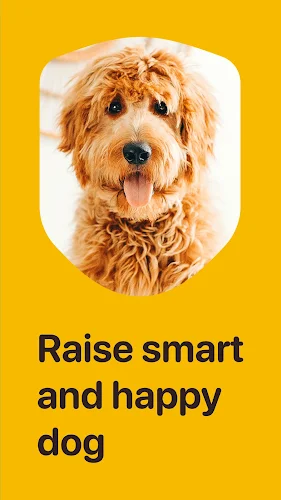 Woofz - Luyện Chó Thông Minh - Phiên Bản Mới Nhất Cho Android - Tải Xuống  Apk