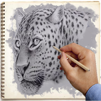 How to draw animals