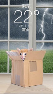 Weather Kitty – App & Widget Weather Forecast 4