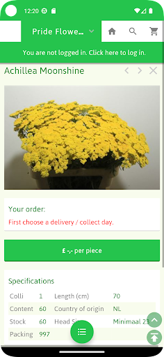 Pride Flowers Screen 2
