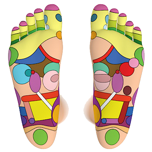 Foot Reflexology Chart  Icon