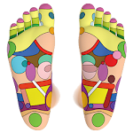 Cover Image of 下载 Foot Reflexology Chart  APK