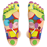 Foot Reflexology Chart