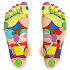 Foot Reflexology Chart