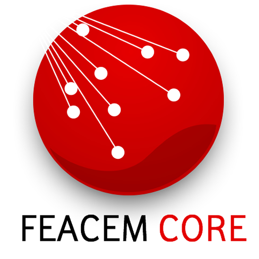 FEACEM CORE logo