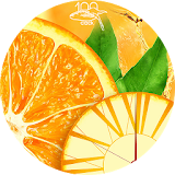 Orange clock wallpaper PRO icon