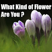 Top 36 Trivia Apps Like What Kind of Flower Are You ? - Best Alternatives