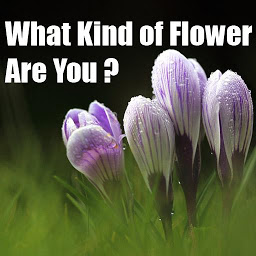 Icon image What Kind of Flower Are You ?