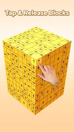 Game screenshot Tap Block Away 3D: Tap Master mod apk