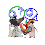 새 퀴즈