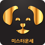 미스터운세  (무료 운세 사주 궁합 토정비결 2020) icon