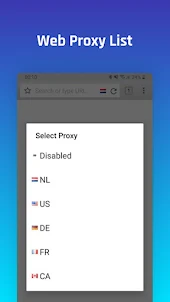 Proxy browser secure VPN