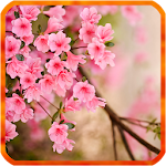 Cover Image of Baixar Flower Spring Live Wallpapers  APK