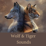 Cover Image of Download Wolf & Tiger Sounds 1.0 APK