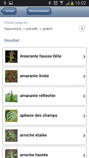 Identification des adventices Screen 2